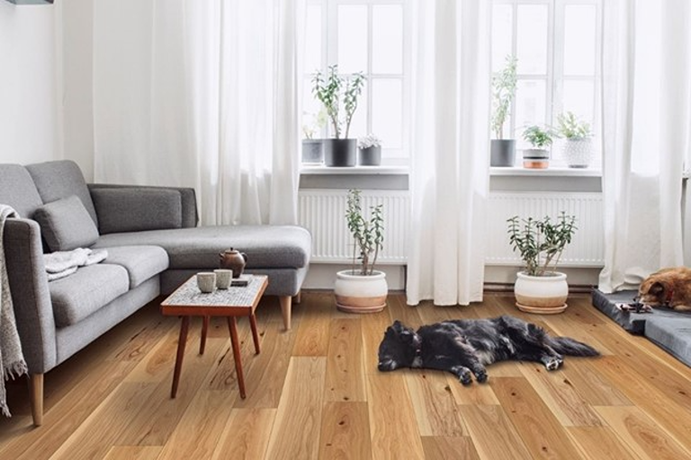 Your local COREtec flooring store 